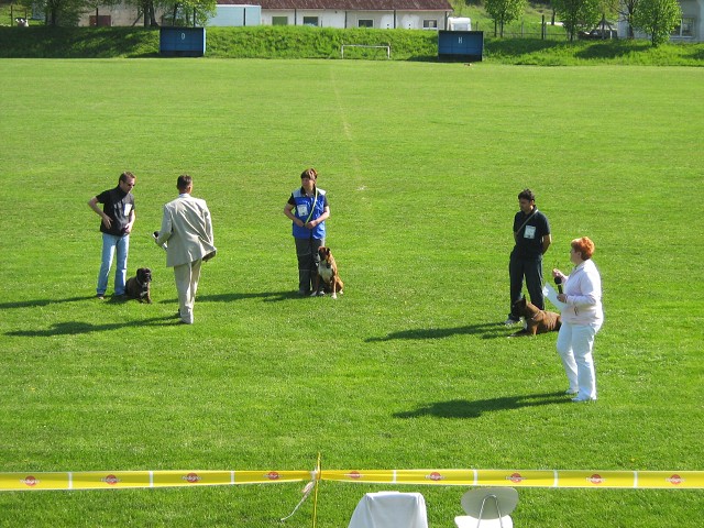 www.atibox.net * www.euroboxer.eu * www.boxergenealogia.eu